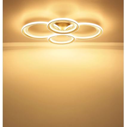 Globo - LED Stropní svítidlo LED/50W/230V 3000K 64,5x85,5 cm