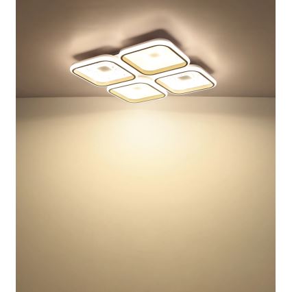 Globo - LED Stmívatelné stropní svítidlo LED/55W/230V 2700-6000K 54x54 cm + dálkové ovládání