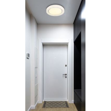 Globo - LED Stropní svítidlo LED/24W/230V 4000K pr. 38 cm