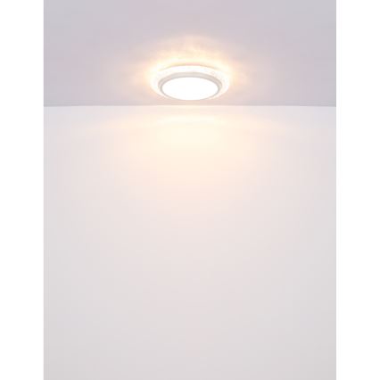 Globo - LED Stropní svítidlo LED/22W/230V 3000K pr. 40 cm
