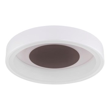 Globo 48398-24 - LED Stropní svítidlo GOFFI LED/30W/230V