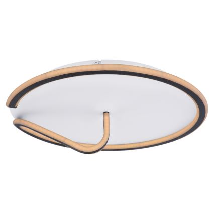 Globo - LED Stmívatelné stropní svítidlo RODAN LED/50W/230V 3000-6000K + dálkové ovládání