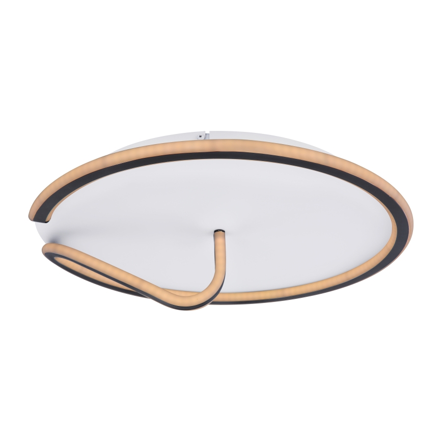 Globo - LED Stmívatelné stropní svítidlo RODAN LED/50W/230V 3000-6000K + dálkové ovládání