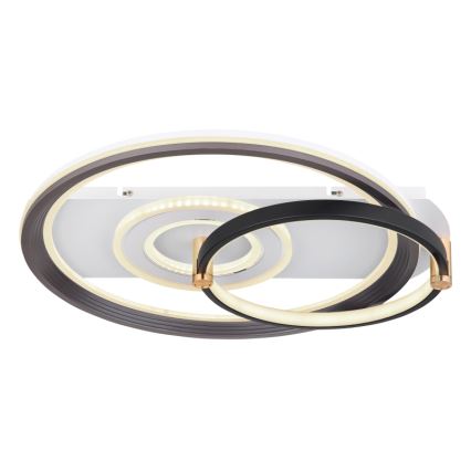 Globo 48459-46 - LED Stmívatelné stropní svítidlo ANI LED/46W/230V 2700-6000K 48x52 cm + dálkové ovládání