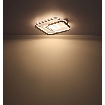 Globo 48459-48 - LED Stmívatelné stropní svítidlo ANI LED/48W/230V 2700-6000K 48x52 cm + dálkové ovládání