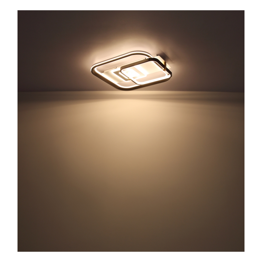 Globo 48459-48 - LED Stmívatelné stropní svítidlo ANI LED/48W/230V 2700-6000K 48x52 cm + dálkové ovládání