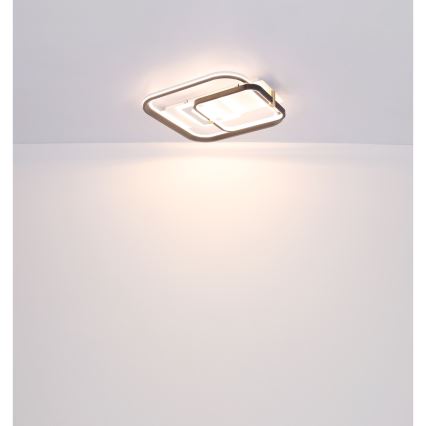 Globo 48459-48 - LED Stmívatelné stropní svítidlo ANI LED/48W/230V 2700-6000K 48x52 cm + dálkové ovládání