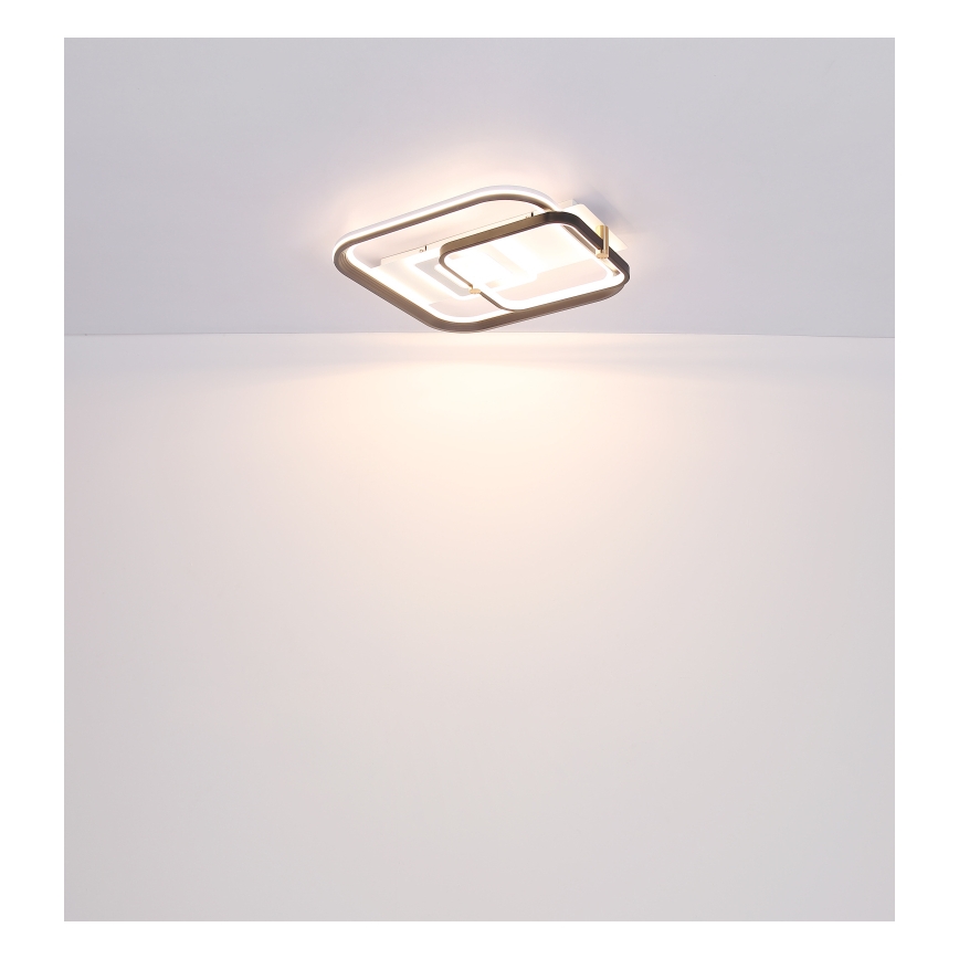 Globo 48459-48 - LED Stmívatelné stropní svítidlo ANI LED/48W/230V 2700-6000K 48x52 cm + dálkové ovládání