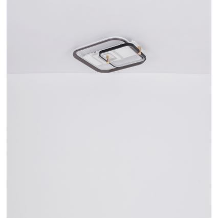 Globo 48459-48 - LED Stmívatelné stropní svítidlo ANI LED/48W/230V 2700-6000K 48x52 cm + dálkové ovládání