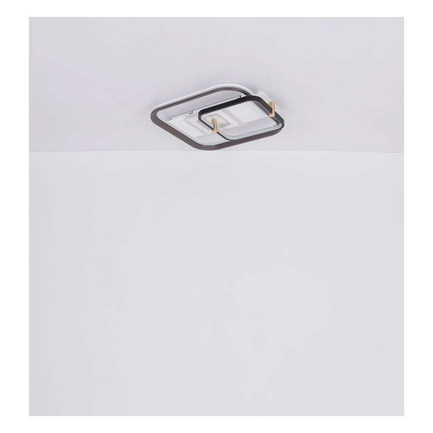 Globo 48459-48 - LED Stmívatelné stropní svítidlo ANI LED/48W/230V 2700-6000K 48x52 cm + dálkové ovládání
