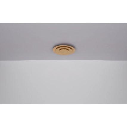 Globo - LED Stropní svítidlo LED/40W/230V 3000K pr. 49 cm zlatá