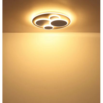 Globo - LED Stropní svítidlo LED/40W/230V 3000K pr. 49 cm