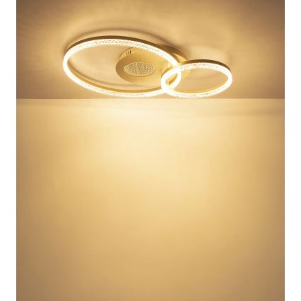 Globo - LED Stropní svítidlo LED/30W/230V 3000K 70x50 cm béžová