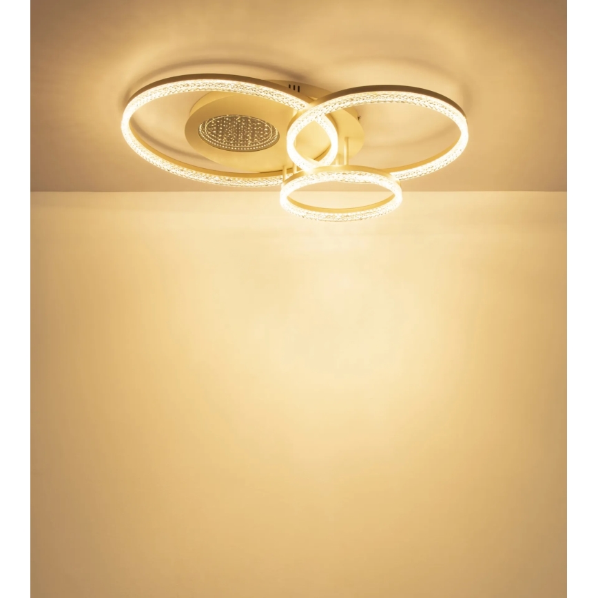 Globo - LED Stropní svítidlo LED/40W/230V 3000K 78x60 cm béžová