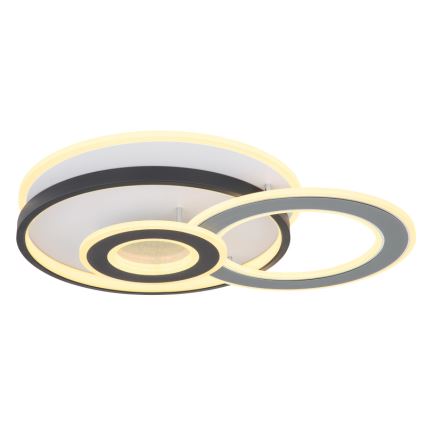 Globo 48552D4 - LED Stropní svítidlo BRIENNA LED/40W/230V 43x52 cm bílá/šedá