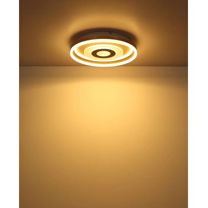 Globo - LED Stropní svítidlo LED/24W/230V 3000K pr. 40 cm