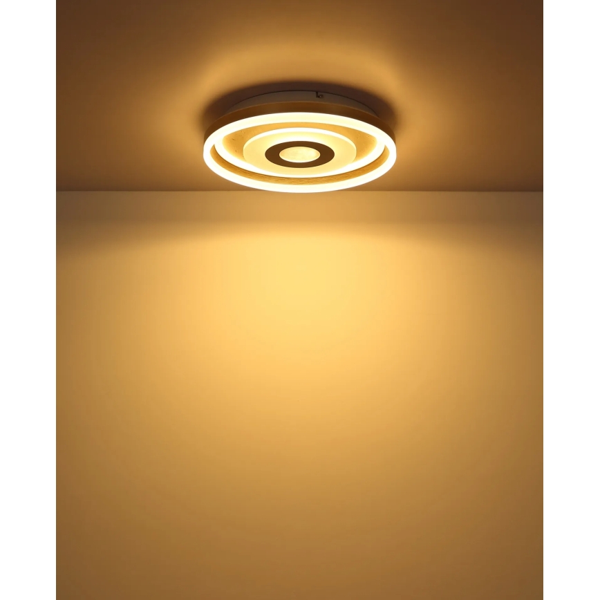 Globo - LED Stropní svítidlo LED/24W/230V 3000K pr. 40 cm