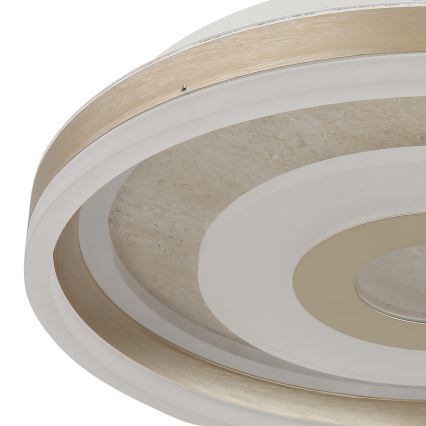 Globo - LED Stropní svítidlo LED/24W/230V 3000K pr. 40 cm