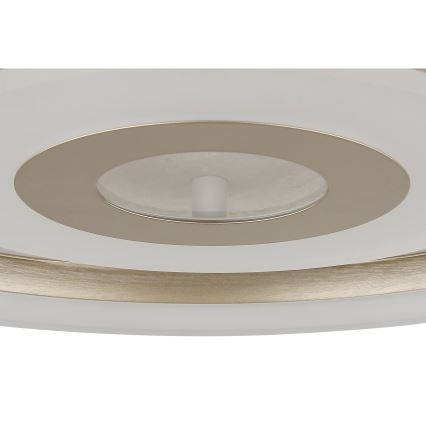 Globo - LED Stropní svítidlo LED/24W/230V 3000K pr. 40 cm