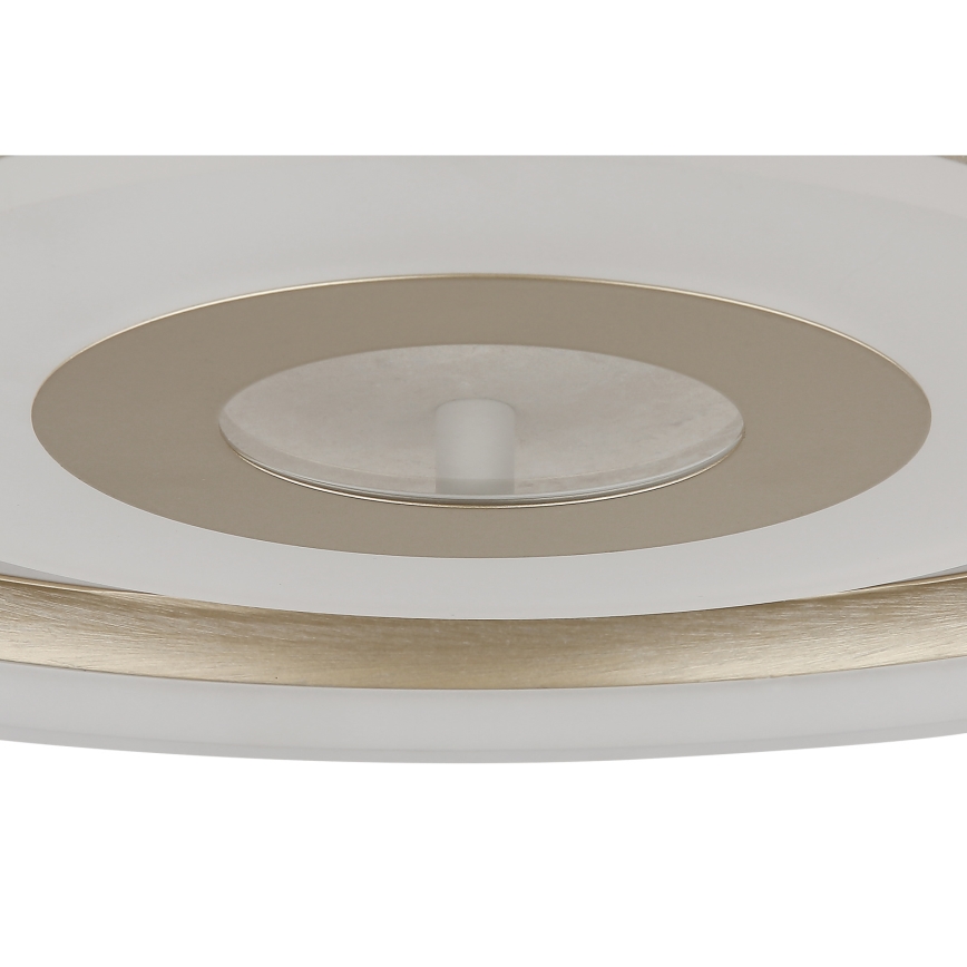 Globo - LED Stropní svítidlo LED/24W/230V 3000K pr. 40 cm