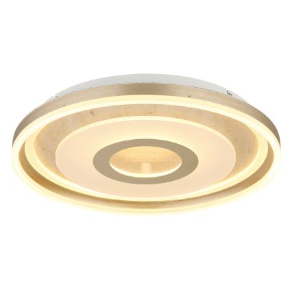 Globo - LED Stropní svítidlo LED/40W/230V 3000K pr. 50 cm