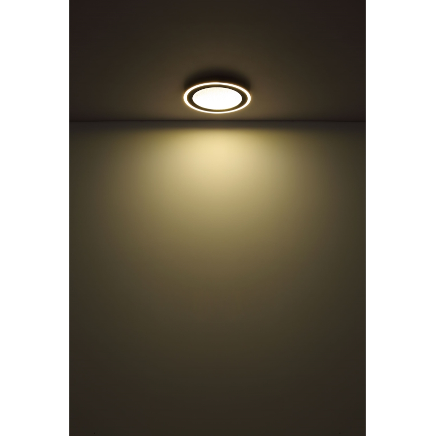 Globo - LED Stropní svítidlo LED/24W/230V 4000K pr. 34 cm černá