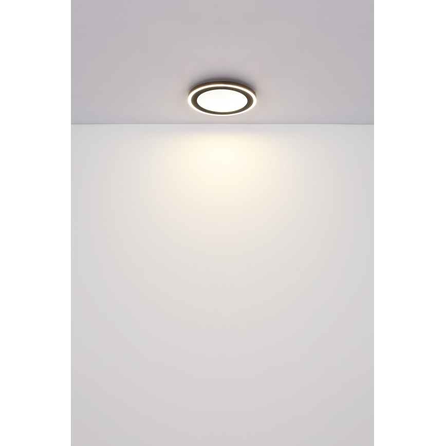 Globo - LED Stropní svítidlo LED/24W/230V 4000K pr. 34 cm černá