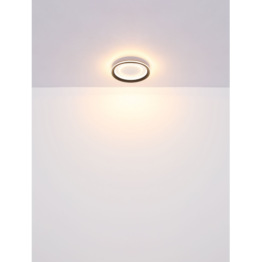Globo - LED Stropní svítidlo LED/18W/230V pr. 30,2 cm