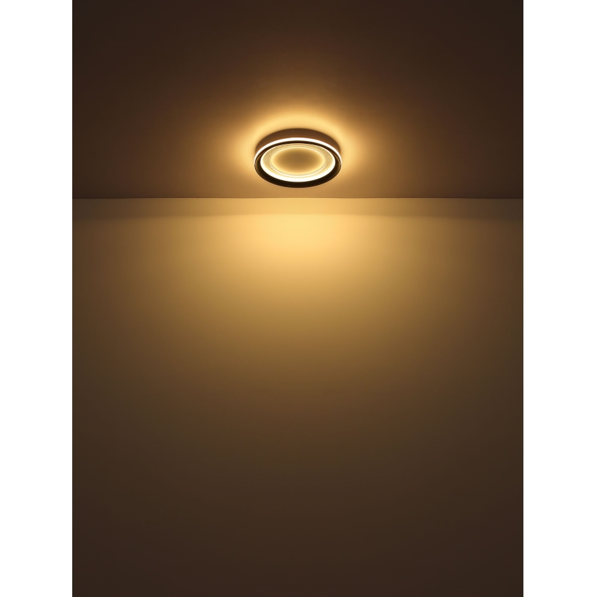 Globo - LED Stmívatelné stropní svítidlo LED/24W/230V 2700-6000K + dálkové ovládání