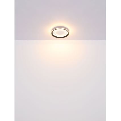Globo - LED Stmívatelné stropní svítidlo LED/24W/230V 2700-6000K + dálkové ovládání