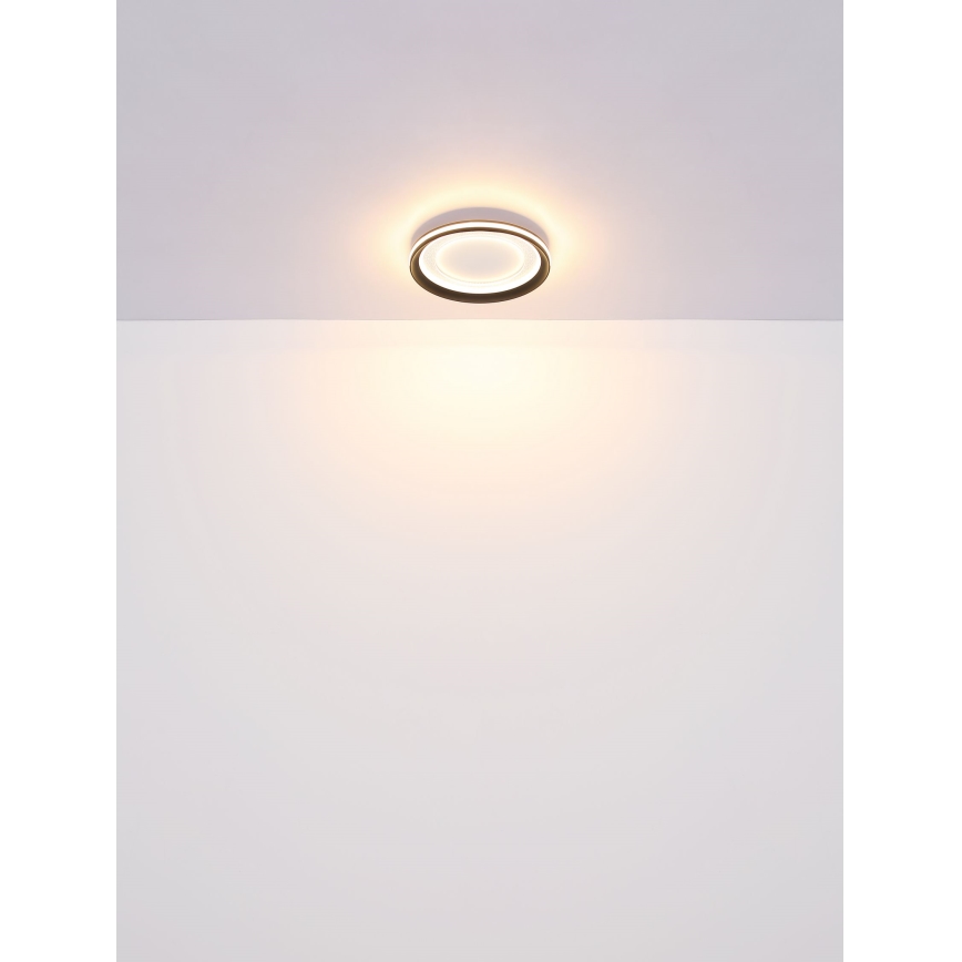 Globo - LED Stmívatelné stropní svítidlo LED/24W/230V 2700-6000K + dálkové ovládání