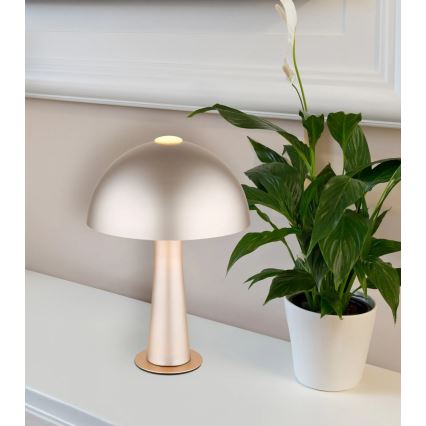 Globo - Stolní lampa 1xE14/25W/230V krémová