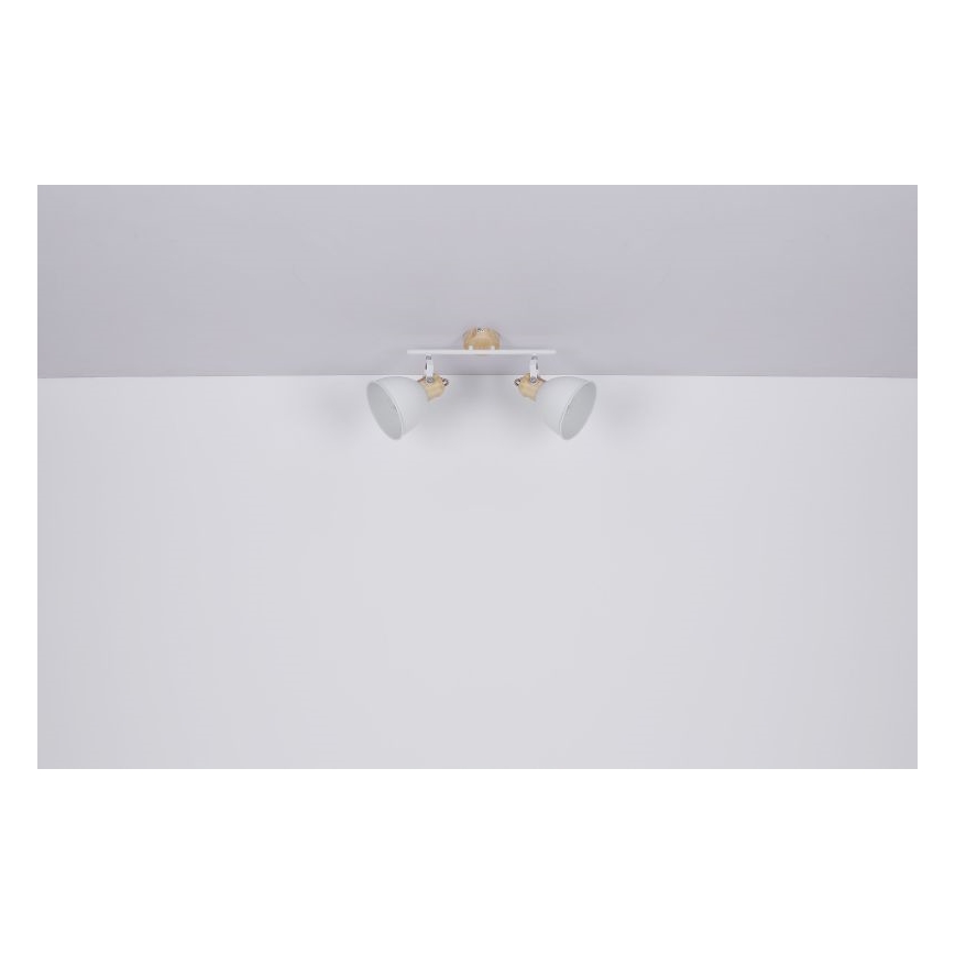 Globo - Bodové svítidlo 2xE27/40W/230V