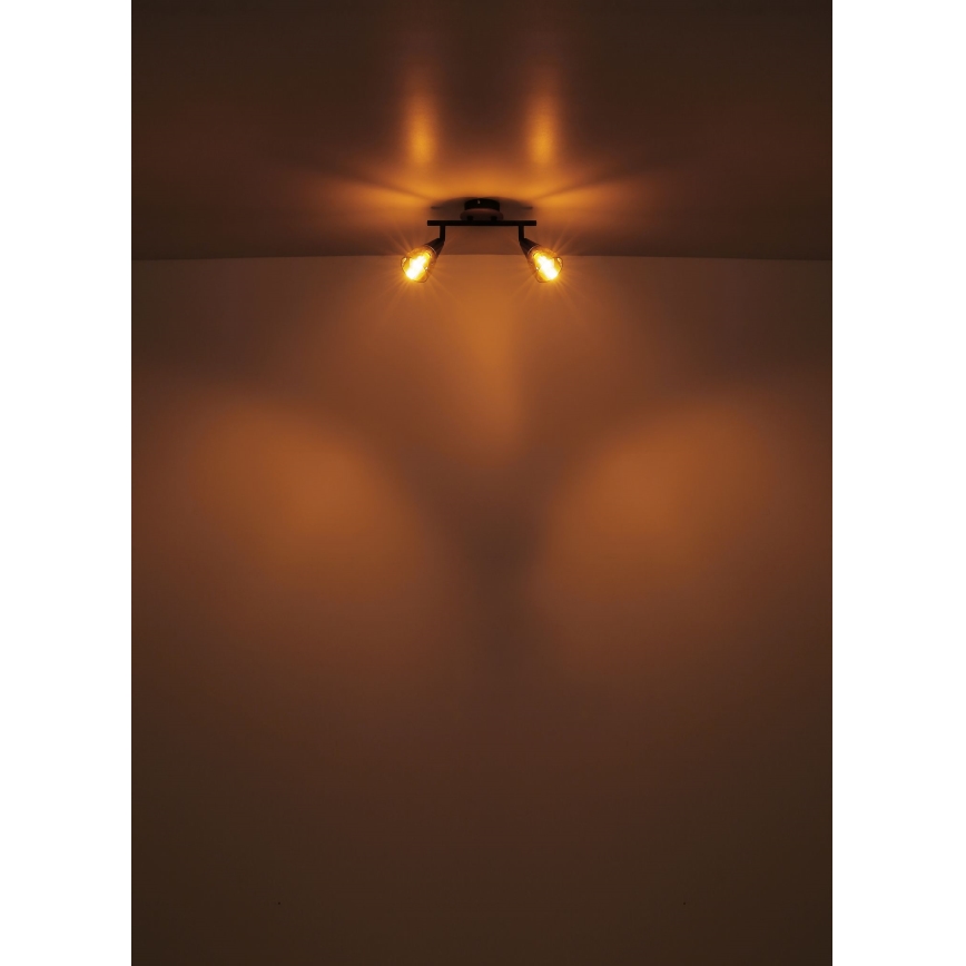 Globo - Bodové svítidlo 2xE14/25W/230V