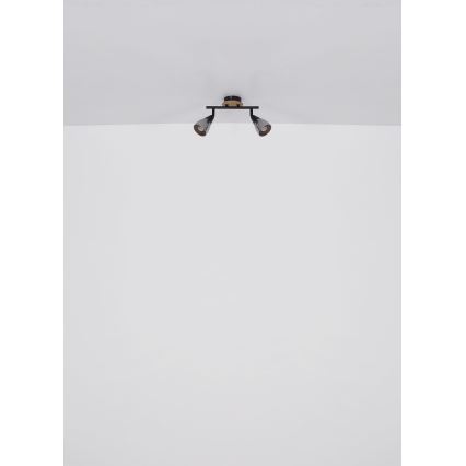 Globo - Bodové svítidlo 2xE14/25W/230V