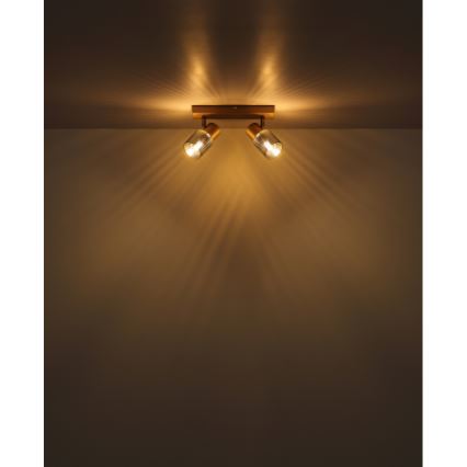 Globo - Bodové svítidlo 2xE14/40W/230V