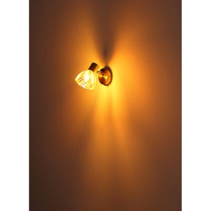 Globo - Nástěnné bodové svítidlo 1xE14/40W/230V zlatá