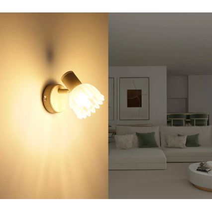 Globo - Nástěnné bodové svítidlo 1xE14/40W/230V