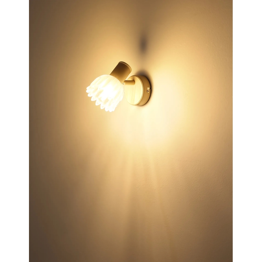 Globo - Nástěnné bodové svítidlo 1xE14/40W/230V