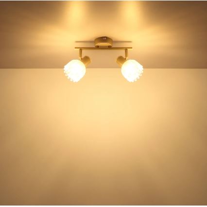 Globo - Bodové svítidlo 2xE14/40W/230V