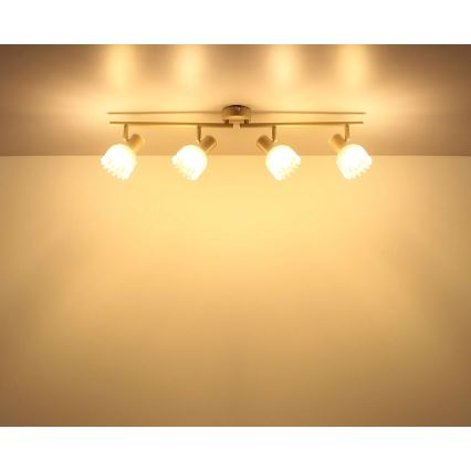 Globo - Bodové svítidlo 4xE14/40W/230V