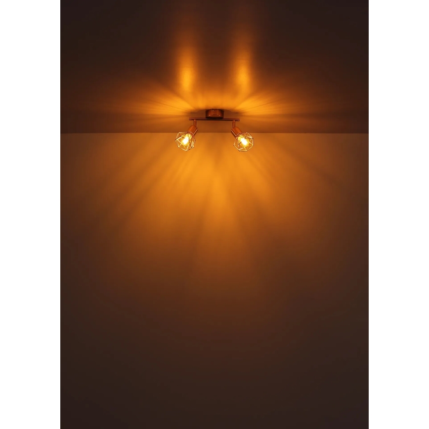 Globo - Bodové svítidlo 2xE14/40W/230V zlatá