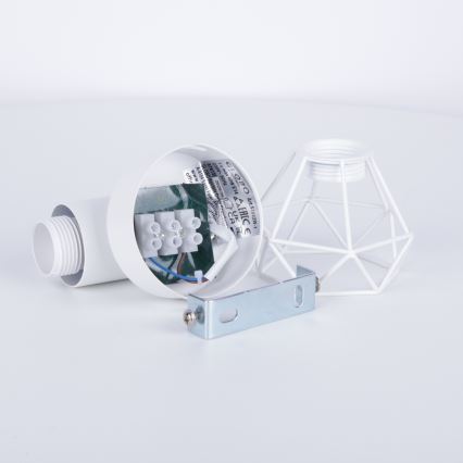 Globo - Nástěnné bodové svítidlo 1xE14/40W/230V