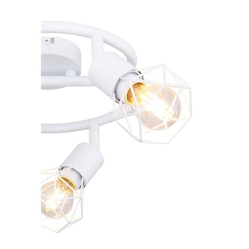 Globo - Bodové svítidlo 3xE14/40W/230V