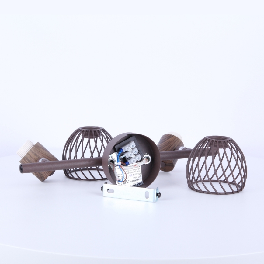 Globo - Bodové svítidlo 2xE14/40W/230V