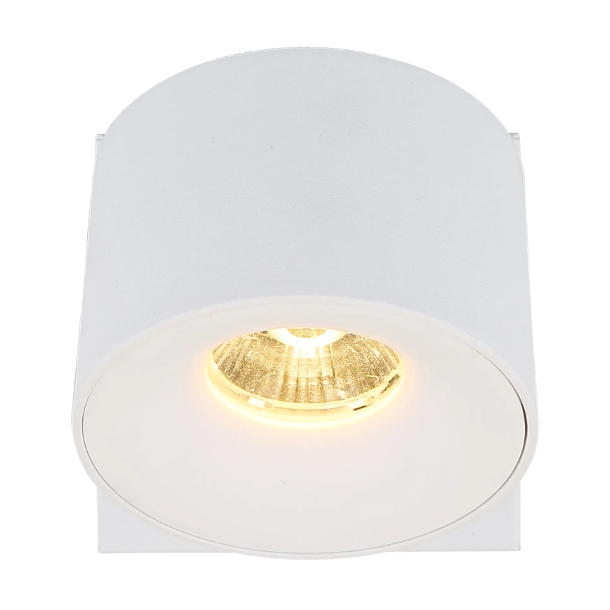 Globo - LED Nástěnné bodové svítidlo LED/6W/230V bílá