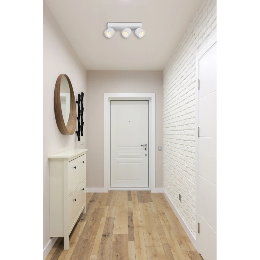 Globo - LED Bodové svítidlo 3xLED/6W/230V bílá