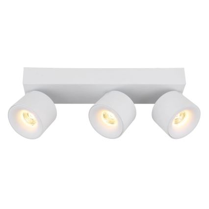 Globo - LED Bodové svítidlo 3xLED/6W/230V bílá