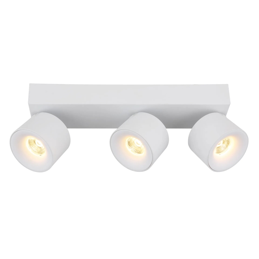 Globo - LED Bodové svítidlo 3xLED/6W/230V bílá