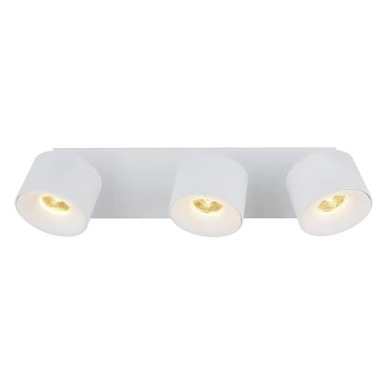Globo - LED Bodové svítidlo 3xLED/6W/230V bílá